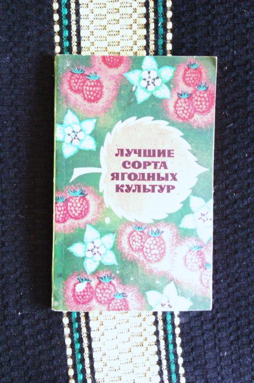 Лучшие сорта ягодных культур