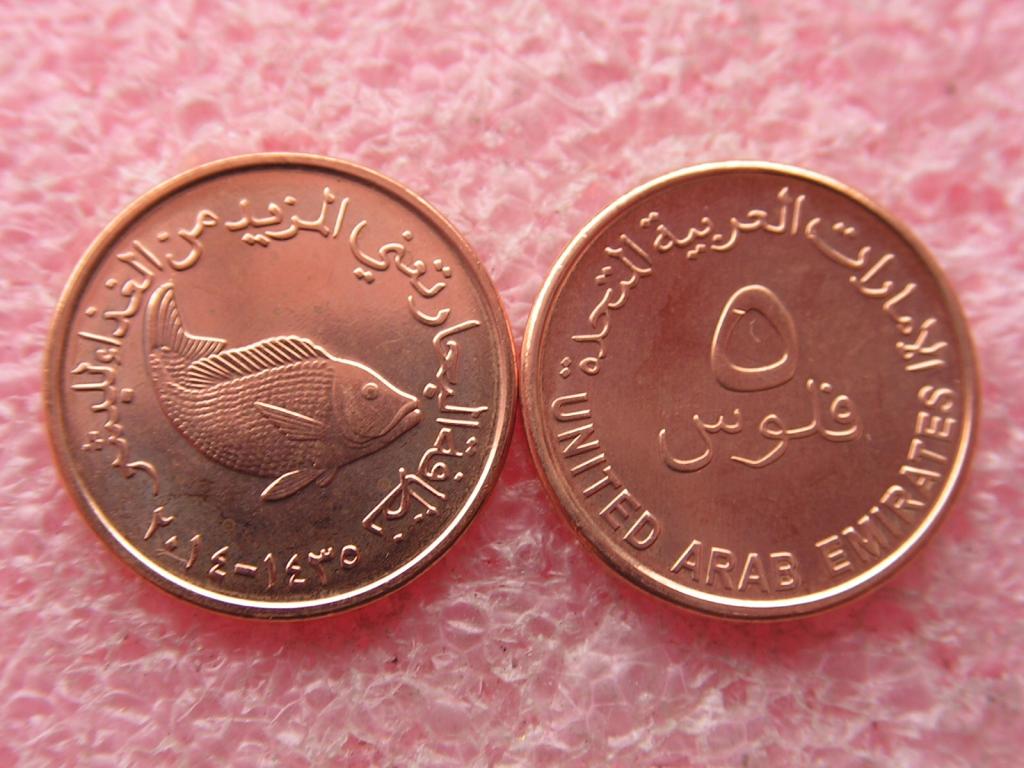 Эмираты/ОАЭ 5 филсов 2014 unc
