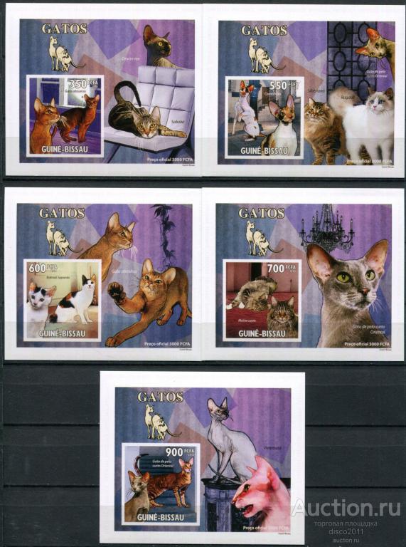 Гвинея-Бисау 2010 Домашние животные Кошки Фауна 5люкс-блоков MNH беззубцовые, картон