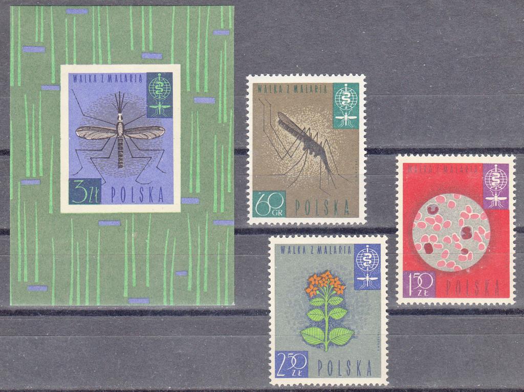 Марки.  Польша.  1962.  НАСЕКОМЫЕ. Фауна.  Серия  с  блоком.