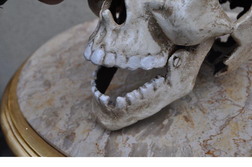 Нижняя челюсть с черепом подвижные. Маска череп с подвижной челюстью. Маска демона с подвижной челюстью.
