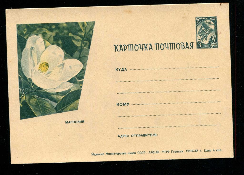 Карточка почтовая 1963 А05146 Магнолия цветы флора редкая