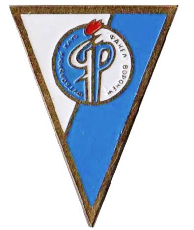 ФК Факел  Воронеж  Воронежская область