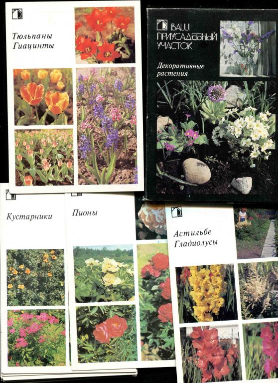 1 комплект декоративные растения флора 18 открыток 1987 приусадебный участок