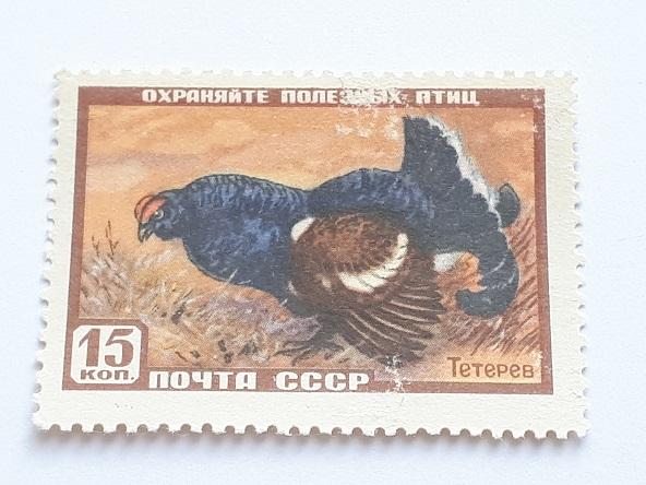 Почтовые марки СССР, 1957. Фауна СССР. 1 из 8-ми, чистая.