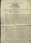Акт о рождении . 1910 год .