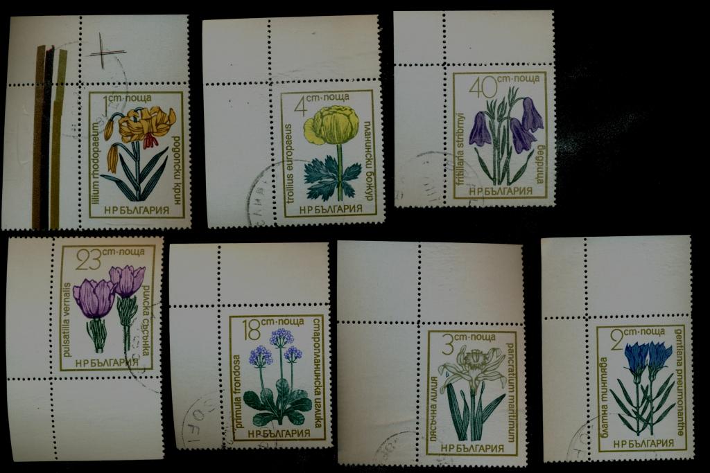 Болгария 1972, Флора, Цветы, Mi 2197-2203,