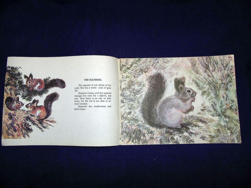 е. книга чарушина кто как живет. е чарушин кто как живет. какие книги иллюстрировал чарушин. чарушин кто как живет.