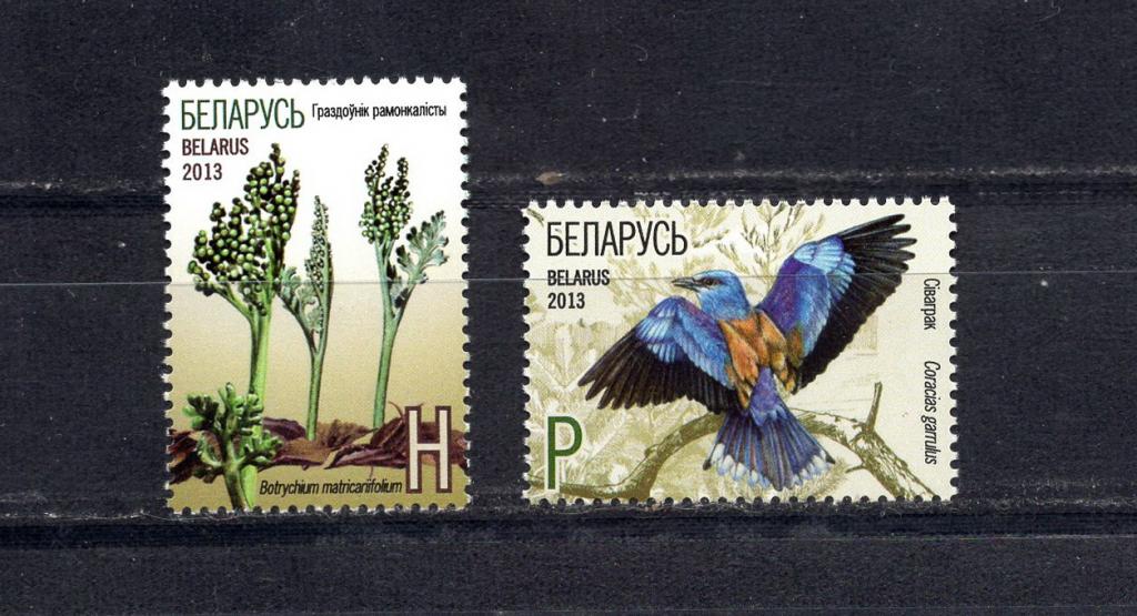 Беларусь - 2013 - флора и фауна