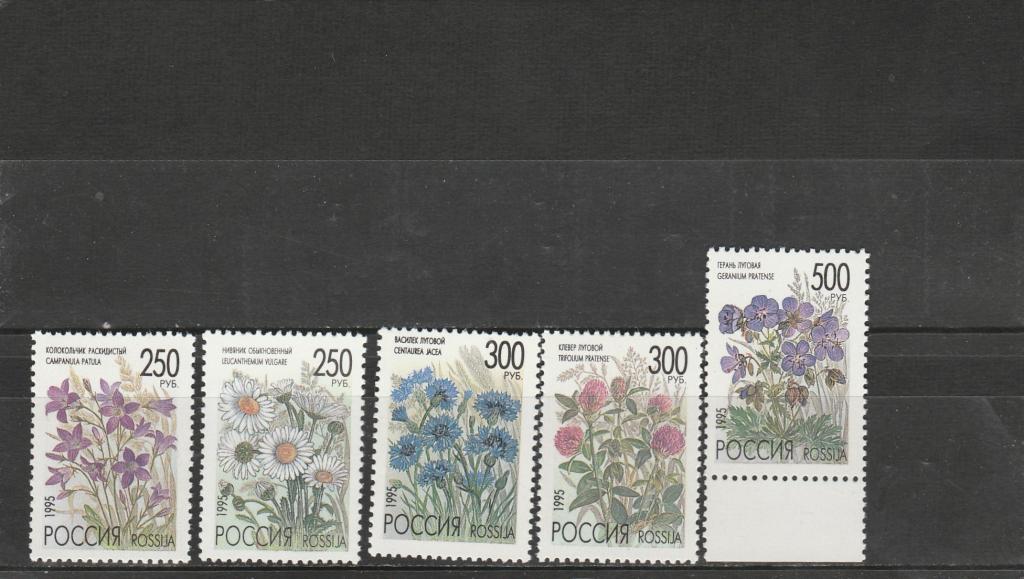 Россия 1995 год.Номер по кат.Загорского 216/20. Состояние MNH.