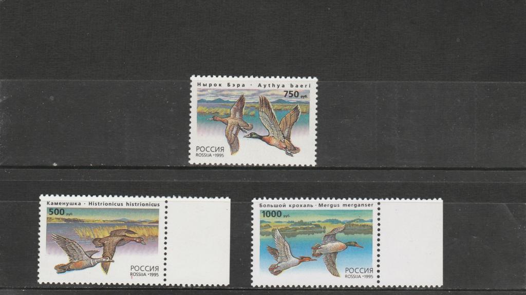 Россия 1995 год. Номер по кат. Загорского 242/44. Состояние MNH.