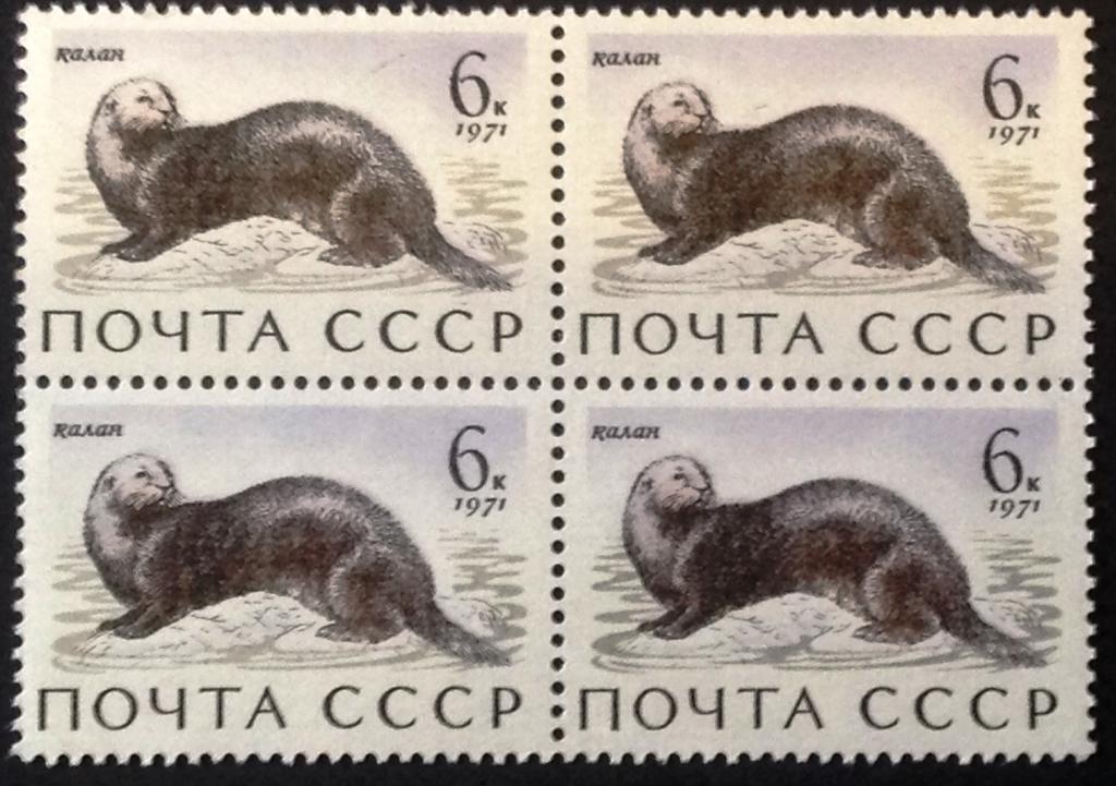СССР 1971 г. Фауна. Морские млекопитающие. Калан. Квартблок !!