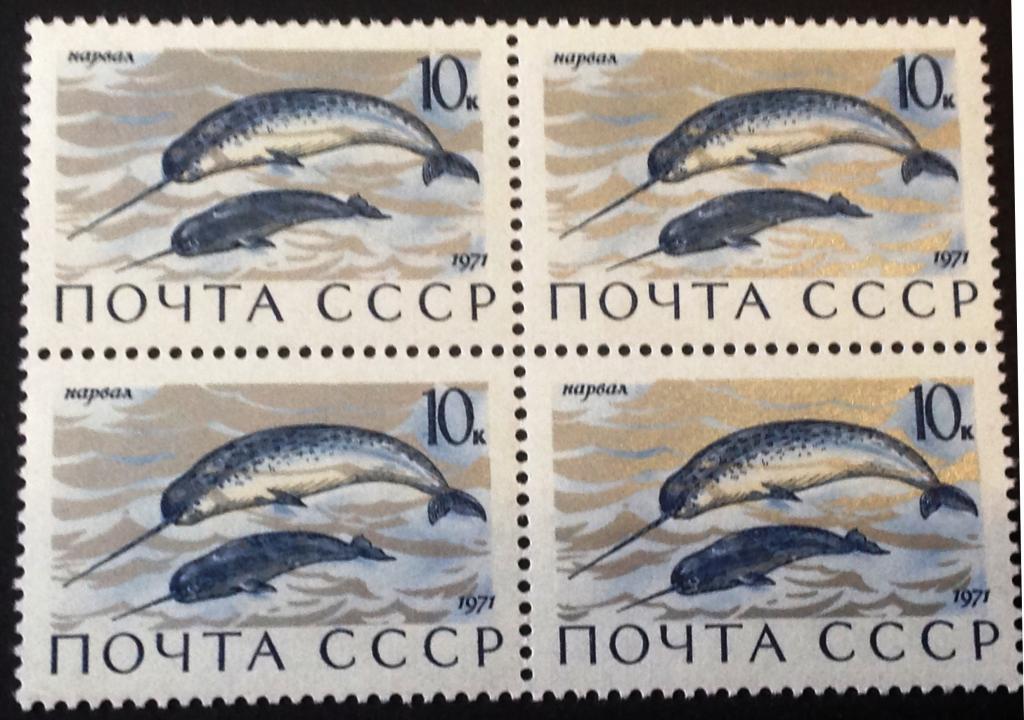 СССР 1971 г. Фауна. Морские млекопитающие. Нарвал. Квартблок !!!