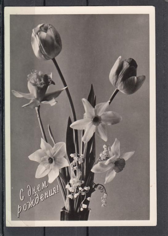С Днем Рождения   Цветы  ЛИК  1961
