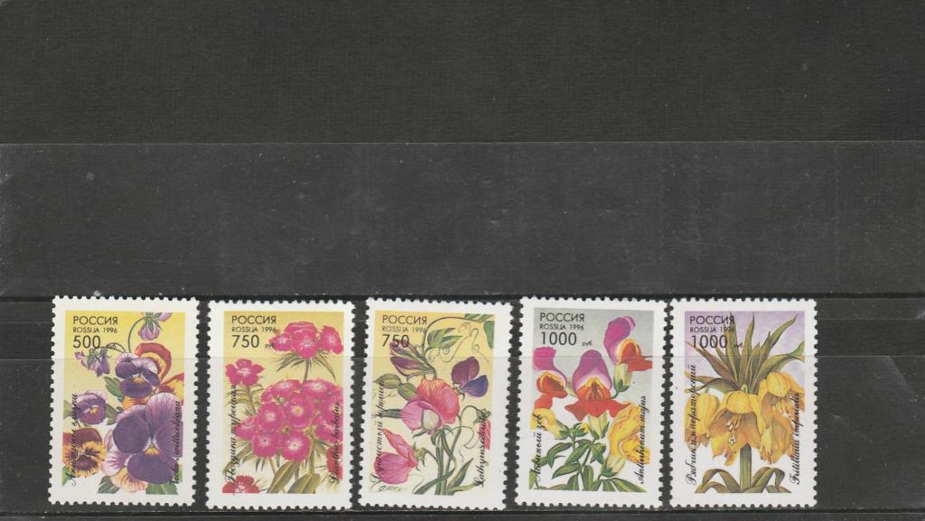 Россия 1996 год. Номер по кат. Загорского 261/65. Состояние MNH.