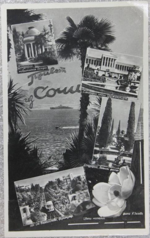 Привет из Сочи 1952г. Курорт Море Дендрарий Растения Фуникулер.