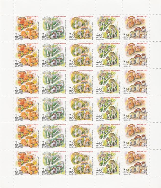 Россия 2003 год. Номер по кат.Загорского Л 876/80. Состояние MNH.