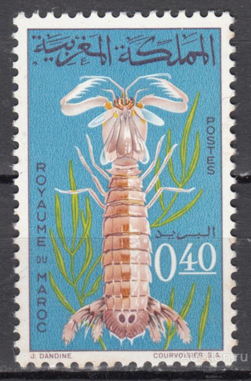 Марокко 1965 лангуст Mi554 MNH