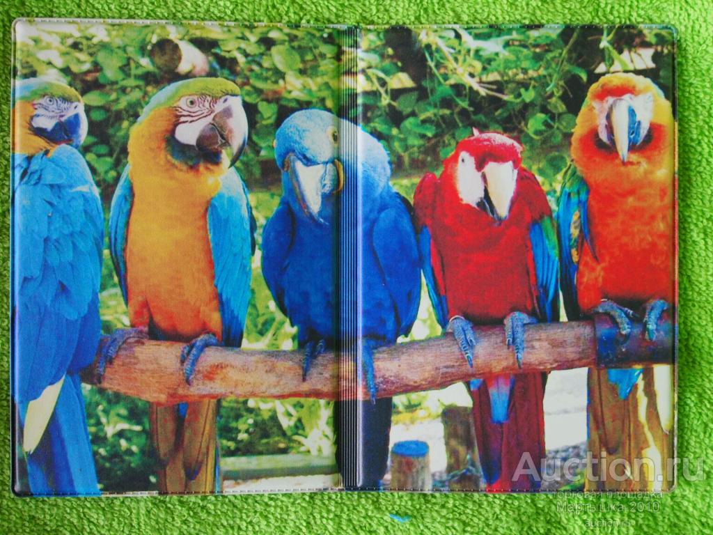 Обложка на паспорт. Остатки магазина.  Попугаи.