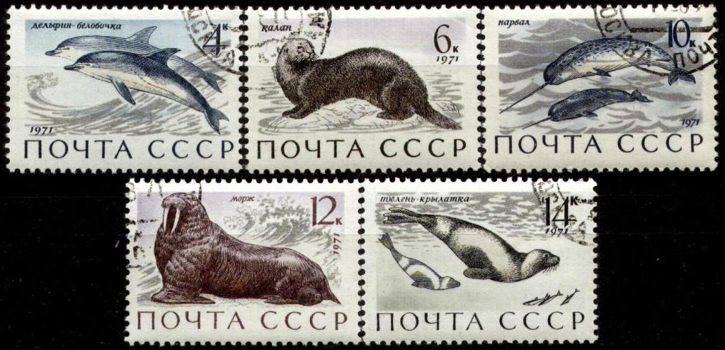 Какое Животное 1971