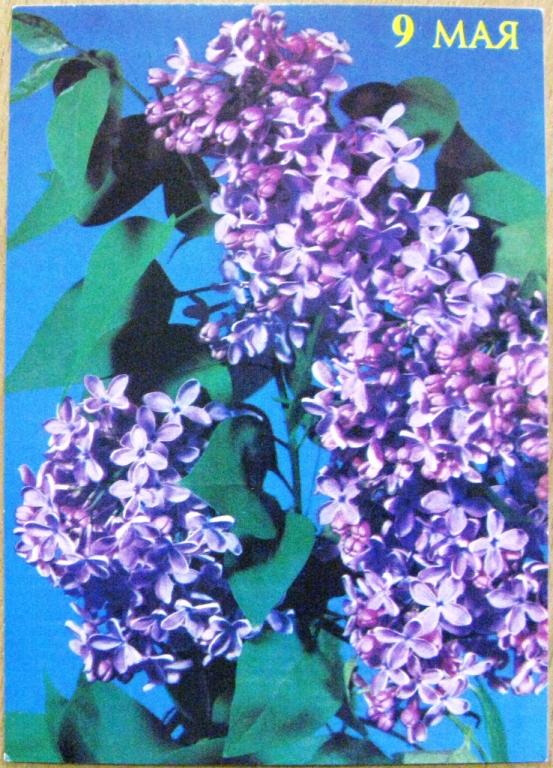 К15-249 МАРКИРОВАННАЯ ОТКРЫТКА СССР, 9 МАЯ, СИРЕНЬ 23.08.1989, КРУЦКО