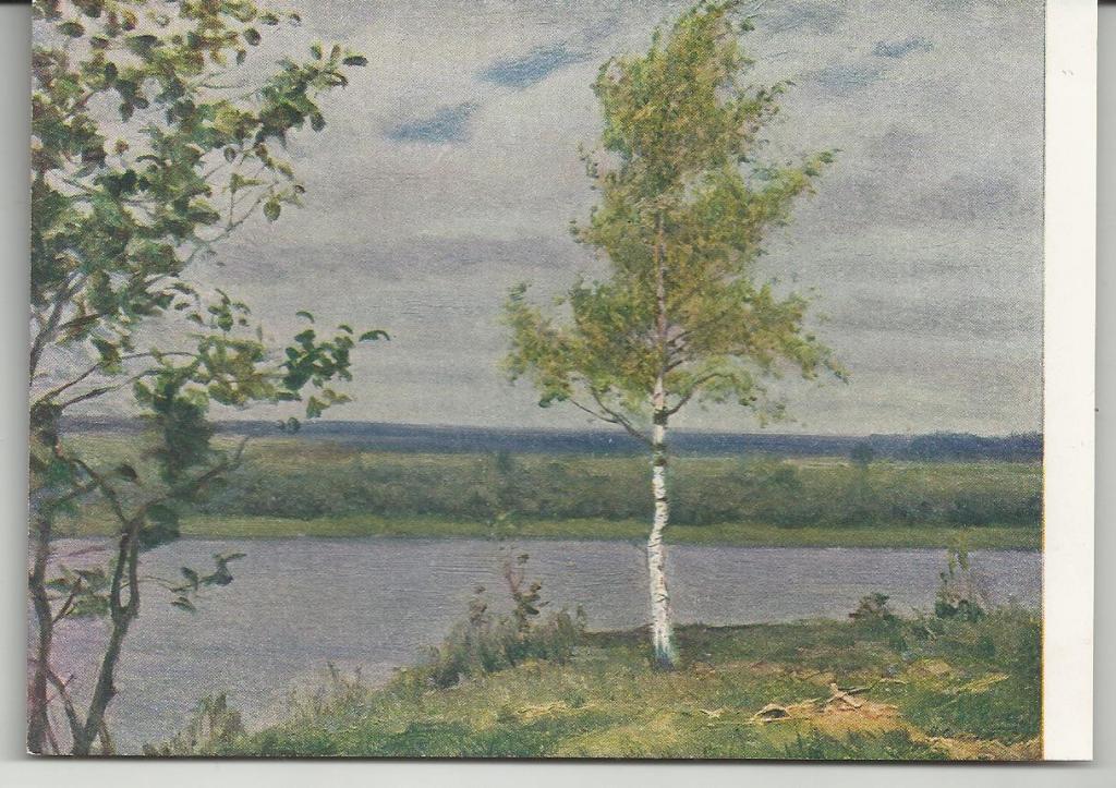 ЖИВОПИСЬ. СОКОЛОВ. МОЛОДАЯ БЕРЕЗА.СОВЕТСКИЙ ХУДОЖНИК. СИГНАЛЬНЫЙ ЭКЗЕМПЛЯР