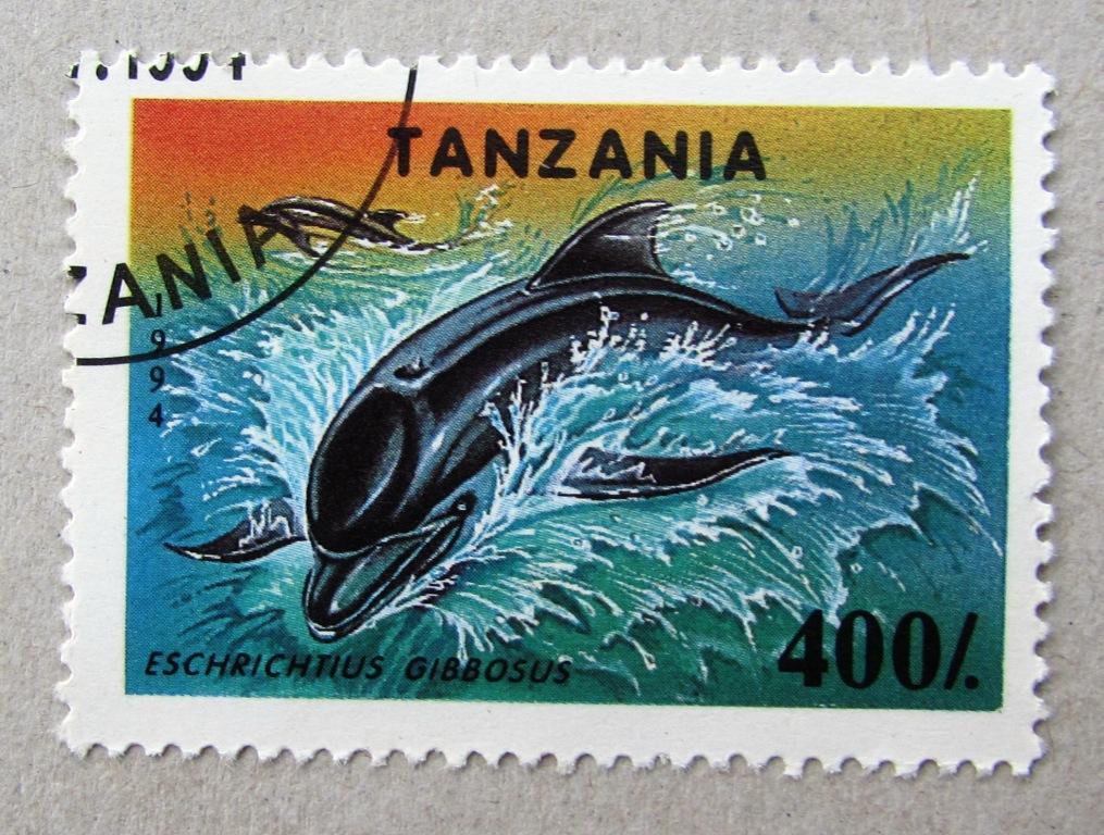 Дельфин Танзания 1994
