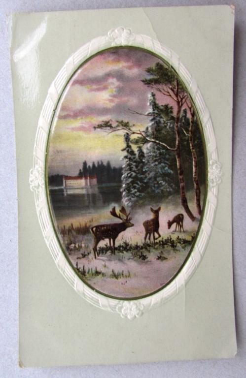 Олени на берегу озера Штемпель 1910