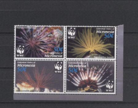 Микронезия - 05 Фауна WWF - морская фауна - 4м ( квартблок ) -