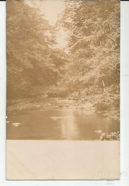 215. Лесной ручей.