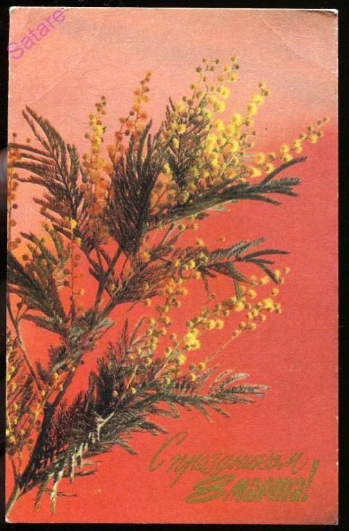 С праздником 8 Марта - Тарасова Л_1968 год