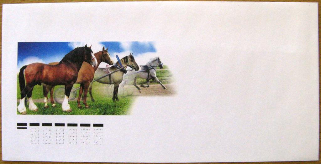 К15-307 НЕМАРКИРОВАННЫЙ КОНВЕРТ РОССИЯ ДЛЯ КПД № 1529, ЛОШАДИ, 2007