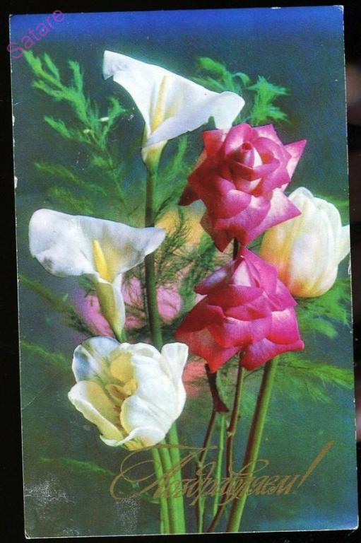 Поздравляем - Костенко Г_1975 год