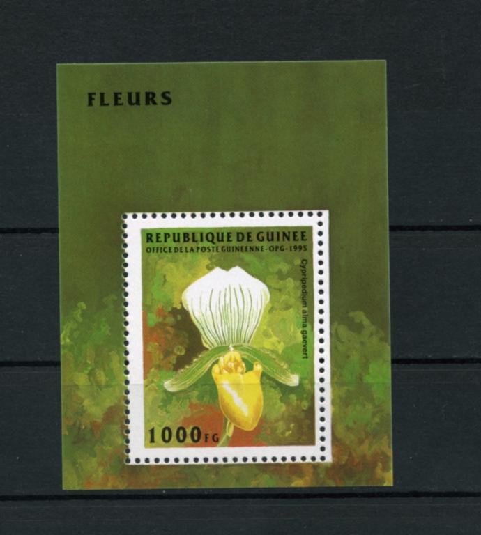 Гвинея. ФЛОРА. Орхидеи. Цветы. БЛОК. 1995** 