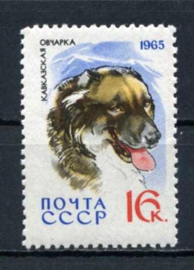 Служебные и охотничьи собаки. Кавказская овчарка. 1965**.МИН. ЦЕНА!!! 