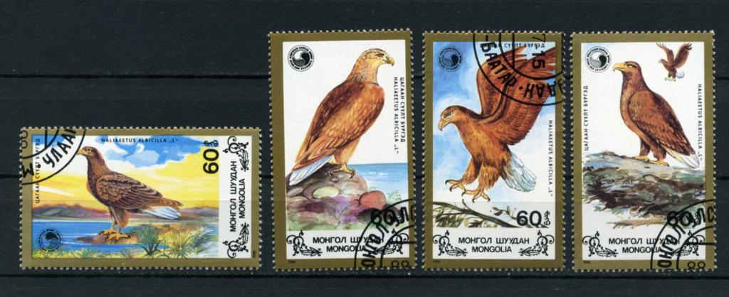 Монголия. Хищные птицы. Орлы. Серия 4 марки. 1988 