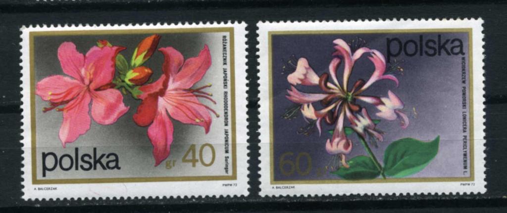 Польша. Флора. Цветы. Орхидеи. 2 марки. 1972.** 