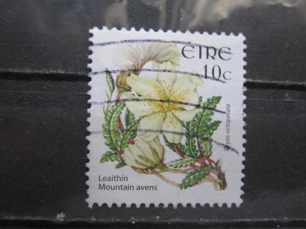 Ирландия серия "Дикие цветы", Дриада восьмилепестная*