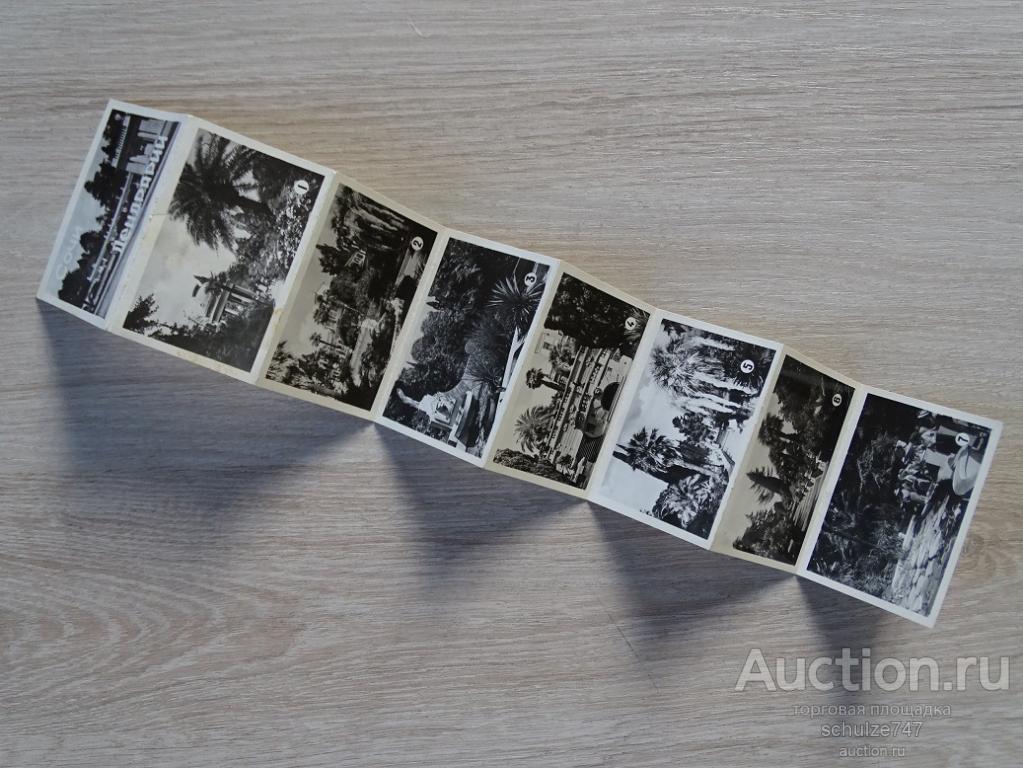 СОЧИ ДЕНДРАРИЙ  МИНИ БУКЛЕТ РАСКЛАДУШКА  1964 год