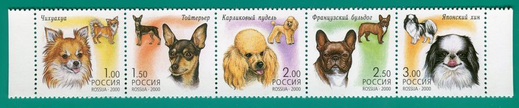 2000 605-609 Фауна. Декоративные собаки. Сцепка **