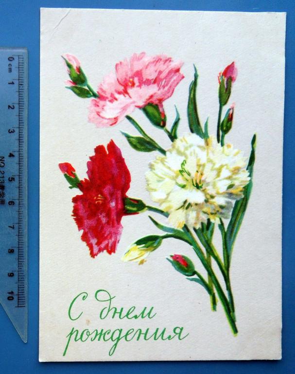 Открытки с днем рождения с гвоздиками, картинки костром