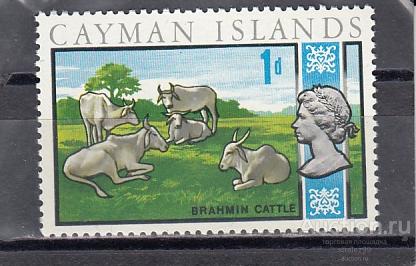 CAYMAN ISLANDS  Сельское хозяйство  № 212  1969  Сост**