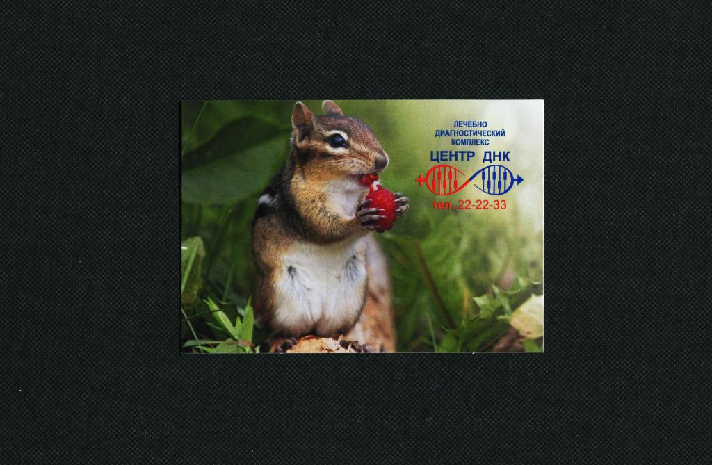 Мышь. Животные. Центр ДНК г Курган. 2018 год. Карманный календарь. #3610.