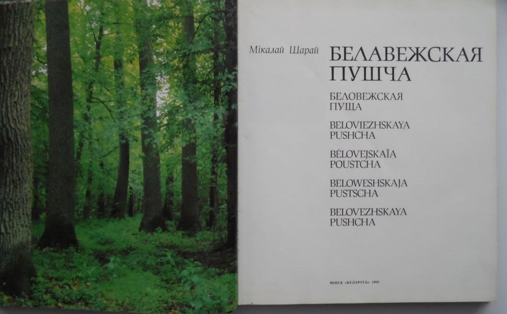 Беловежская пуща аккорды. Беловежская пуща слова. Книга Беловежская пуща. Беловежская пуща текст. Беловежская пуща текси.