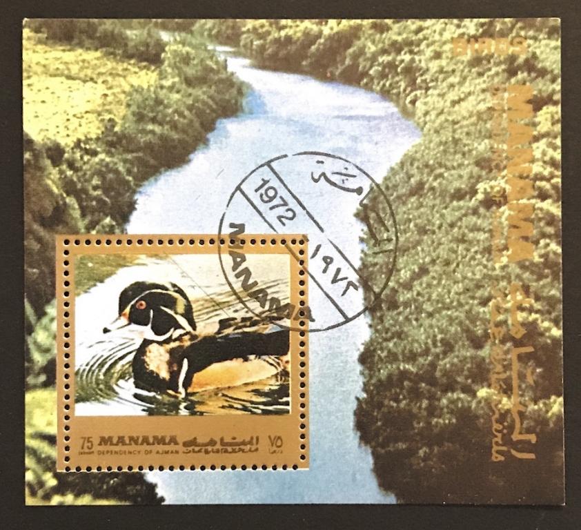 1972г. ОАЭ. Аджман. Древесная утка. №181 (Michel)