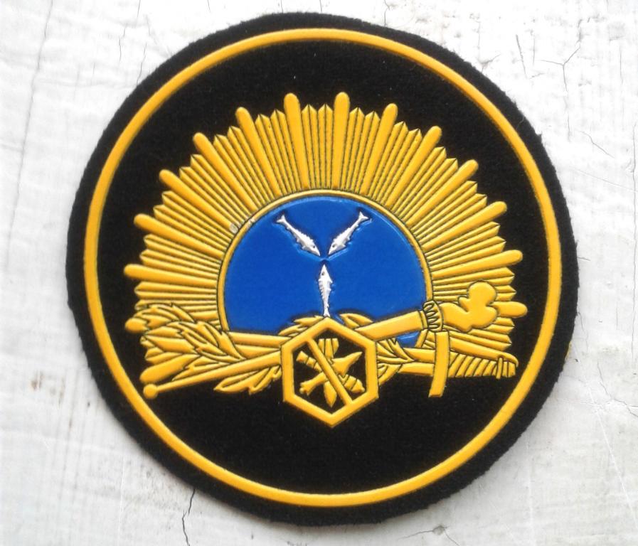 Нарукавный знак Саратовского военного института биологической и химической безопасности МО РФ