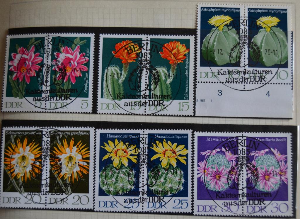 ГДР 1970 Mi 1625/30 **Цветы кактусов - вып1 Спецгашение