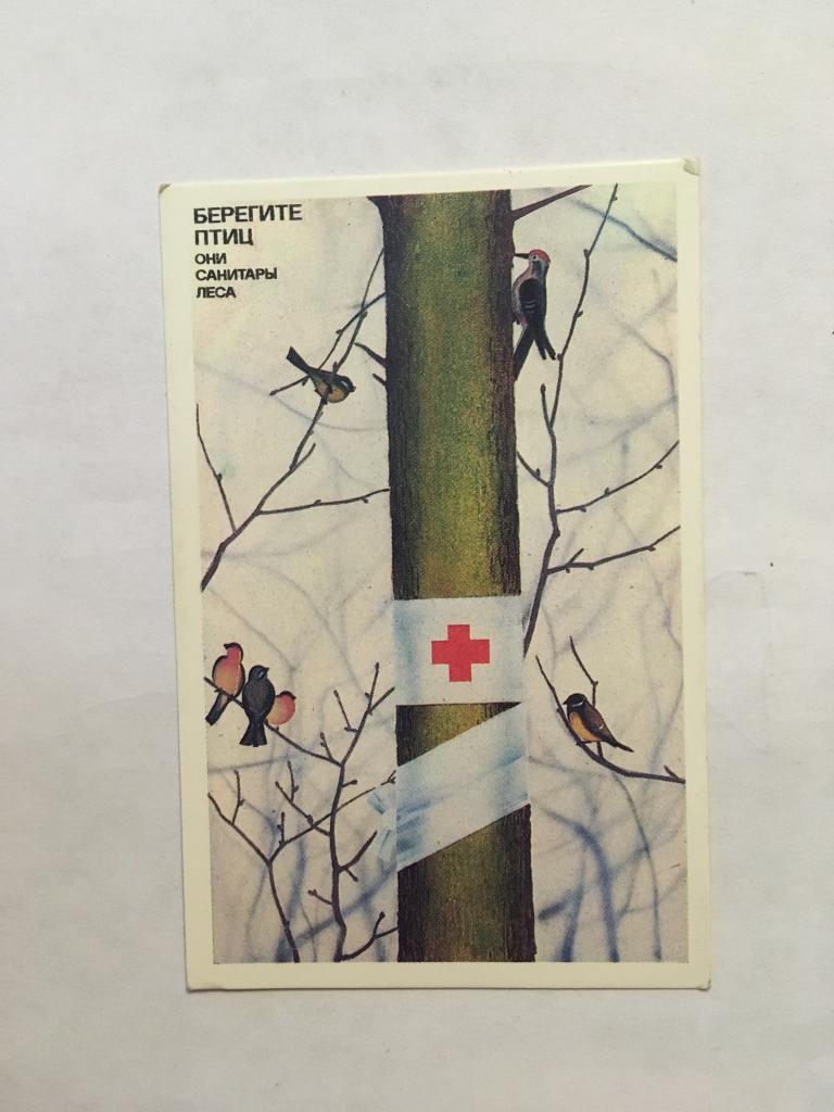 Календарь. Берегите птиц. Они санитары леса. 1989. Карманный календарь. Календарик карманный