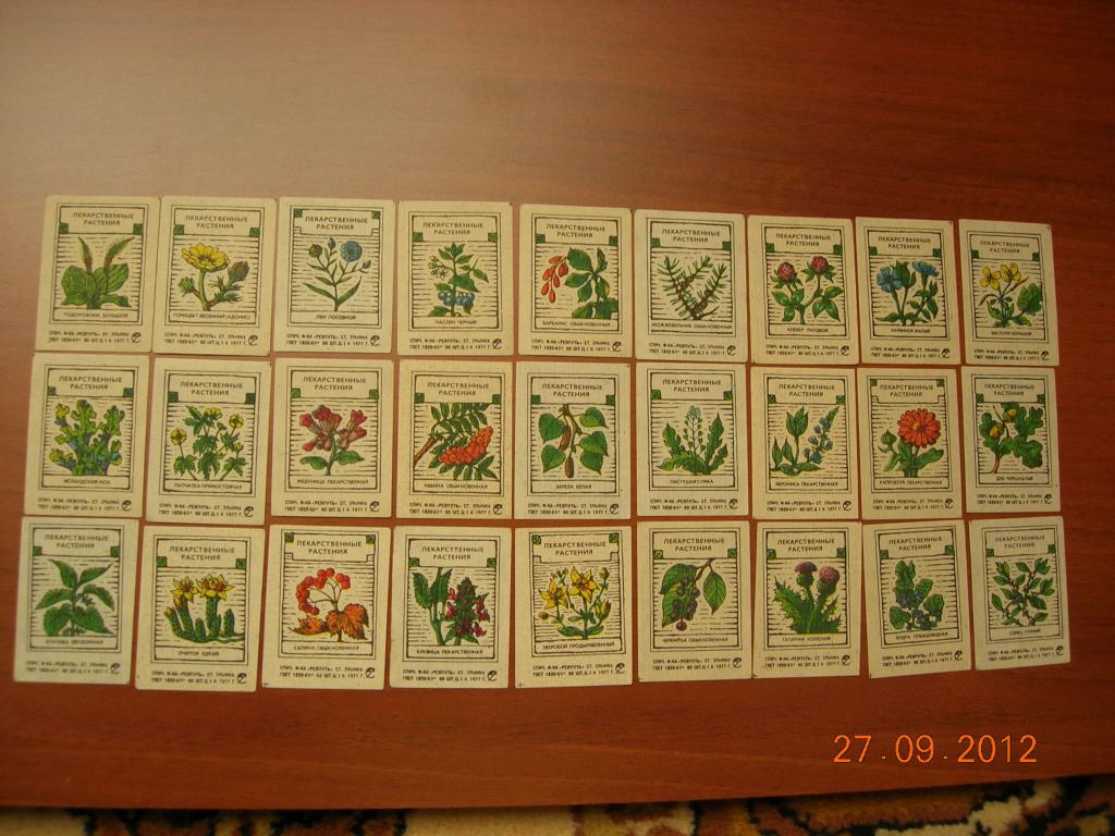 1977 лекарственные растения