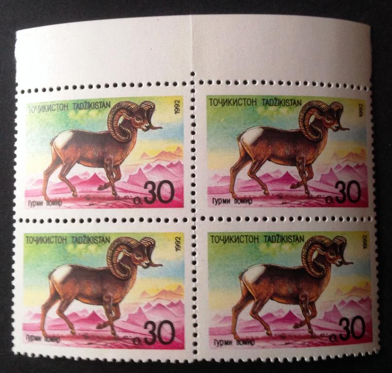 Таджикистан 1992 г. Фауна. Памирский козел (архар). Квартблок! Mi: TJ 4.